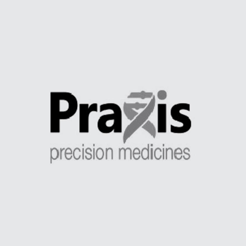Praxis-logo-OLD Praxis-logo-OLD